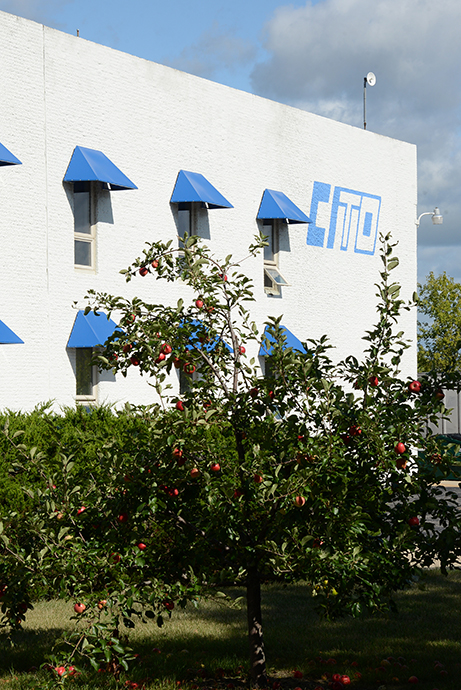 CITO Building behind Apple Tree